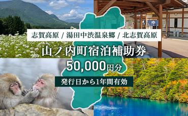 山ノ内町内宿泊補助券（10枚）1年間有効 50,000円分 旅行 宿泊券 ホテル 旅館 チケット 宿泊 補助券 志賀高原 湯田中渋温泉郷 北志賀高原 地獄谷野猿公苑  温泉 ギフト 自然 観光 長野県 信州 冬 スキー