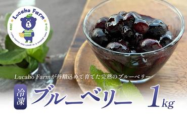 「Lucaho Farm」の冷凍ブルーベリー１kg
