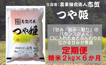 【6ヶ月定期便】宮城県岩沼市産 志賀沢米 つや姫 精米2kg