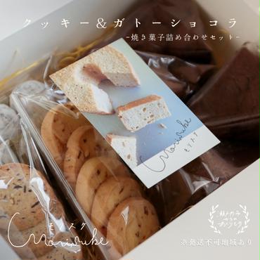 焼き菓子 詰め合わせ クッキー ガトーショコラ セット morisuke 国産 小麦 無添加 菓子 お菓子 おやつ スイーツ デザート