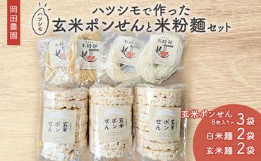岡田農園のハツシモで作った玄米ポンせんと米粉麺