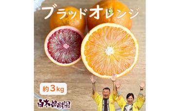 ブラッドオレンジ　約３kg　果物　柑橘　フルーツ　オレンジ　高知県土佐市　お取り寄せ 産地直送　おいしい 美味しい　白木果樹園