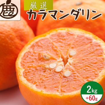 [4月より発送]厳選 カラマンダリン2kg+60g(傷み補償分)(なつみ)(希少な春柑橘)
