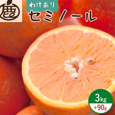 [4月より発送]家庭用 セミノールオレンジ3kg+90g(傷み補償分)(有田産)(訳あり)
