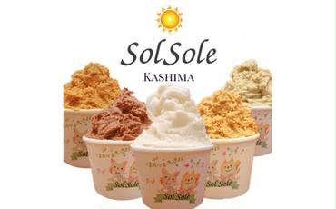 Sol soleのジェラート選べる12個入り お好みセット　無添加　ジェラート スイーツ デザート 鹿嶋市　アイス 送料無料（KBM-3）