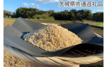 【できるだけ農薬を減らした】こしひかり 玄米10kg【茨城県共通返礼品・行方市産】KBE-30