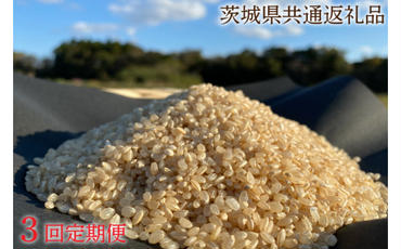 3ヶ月定期便【栽培期間農薬不使用】こしひかり 玄米10kg×3回【茨城県共通返礼品・行方市産(KBE-47)

