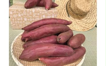 焼き芋好きのためのさつま芋　紅はるか5kg【茨城県共通返礼品・行方市産】（KBE-58）