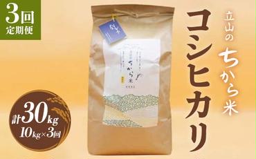 【3回 定期便 】立山のちから米 コシヒカリ 10kg×3回 総計30kg たてやま 米 こめ お米 コメ 精米 白米 こしひかり 美味しい 富山県 立山町 F6T-540