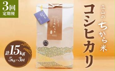 【3回 定期便 】立山のちから米 コシヒカリ 5kg×3回 総計15kg たてやま 米 こめ お米 コメ 精米 白米 こしひかり 美味しい 富山県 立山町 F6T-538