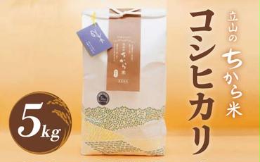 立山のちから米 コシヒカリ 5kg×1袋 計5kg たてやま [55590108] 米 こめ お米 コメ 精米 白米 こしひかり 美味しい 富山県 立山町 F6T-536