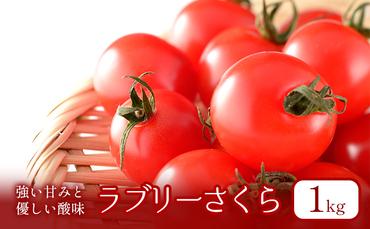 【2024年夏発送】ふらの ミニトマト 1kg（品種：ラブリーさくら）北海道 富良野市 野菜 新鮮 直送 トマト 道産 ふらの 送料無料 数量限定 先着順