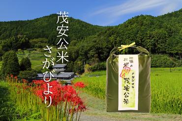 BF022【令和6年度産：新米　１０月末より順次発送】 茂安公米 5kg みやき町産 さがびより