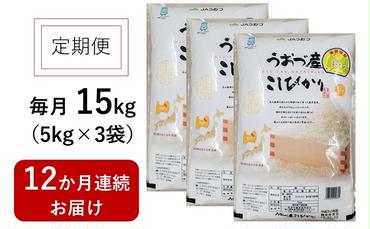 定期便 米 15kg (5kg×3袋) 12ヶ月 コシヒカリ 富山 魚津産 こめ コメ お米 おこめ 白米 精米 12回 お楽しみ