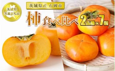 【先行予約】柿2品種×7個【茨城県共通返礼品 石岡市】 柿 カキ かき 果物 フルーツ 2品種×7個 合計14個 お取り寄せ　※2024年10月下旬頃より順次発送予定