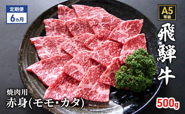 【定期便6ヶ月】牛肉 飛騨牛 焼き肉 セット 赤身 モモ 又は カタ 500g 黒毛和牛 Ａ5 美味しい お肉 牛 肉 和牛 焼肉 BBQ バーベキュー 【岐阜県瑞穂市】