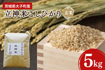 【特別栽培米】令和6年度産 立神米こしひかり（玄米）5kg 茨城県 大子町 コシヒカリ 米 コンテスト 受賞  生産者 大子産米（BT001-1）