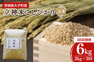 【3ヶ月定期便】【特別栽培米】令和6年度産 立神米こしひかり（玄米）定期便 2kg 3回お届け 茨城県 大子町 コシヒカリ 米 コンテスト 受賞  生産者 大子産米（BT010）