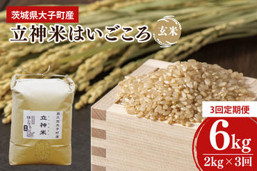 【3ヶ月定期便】【2024年11月発送開始】【特別栽培米】令和6年度産　立神米はいごころ(玄米) 定期便 2kg 3回お届け 茨城県 大子町 米 新米（BT026）