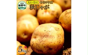 【四国一小さなまちのじゃがいも】★令和6年11月中旬発送開始★ 大野台地で採れた『 令和6年産 秋じゃが 』 5kg