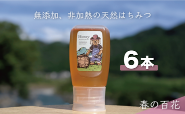 合計1800g 天然蜂蜜 国産蜂蜜 非加熱 生はちみつ 岐阜県 美濃市産 春 (蜂蜜300g入りピタッとボトル6本セット) A17