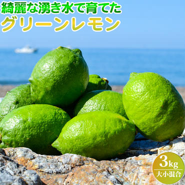 EA6101_綺麗な湧き水で育てたグリーンレモン 3kg (大小混合)