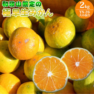 (先行予約)和歌山県限定の極早生みかん 2kg (YN-26 大小混合)