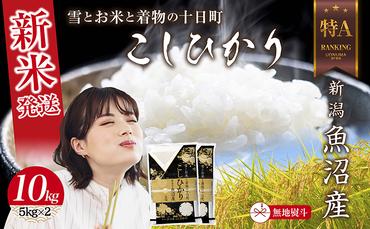 【新米発送】 無地のし 令和6年産 新潟県 魚沼産 コシヒカリ お米 10kg （5kg×2袋）精米済み（お米の美味しい炊き方ガイド付き） 白米 新米 こしひかり 食品 人気 おすすめ 送料無料 魚沼 十日町  新潟県 精米 産直