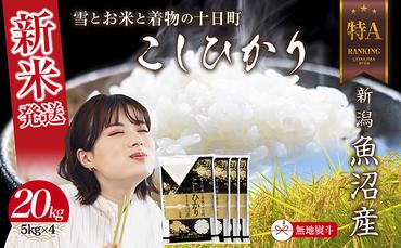 【令和6年産 新米予約】 無地のし 令和6年産 新潟県 魚沼産 コシヒカリ お米 20kg （5kg×4袋）精米済み（お米の美味しい炊き方ガイド付き） 