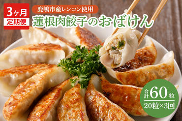 【3ヶ月定期便】蓮根肉餃子のおばけん【20粒×3回】【野菜 ギョーザ れんこん しゃきしゃき おいしい ストック 茨城県 鹿嶋市】（KBU-16）