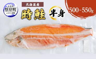 北海道産 時鮭 半身 500g～550g 鮭 さけ シャケ 魚 甘塩 冷凍 半身加工 旬 