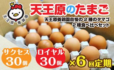 【定期便】６回定期 【天王原のたまご】 サクセス卵30個/ロイヤル卵30個