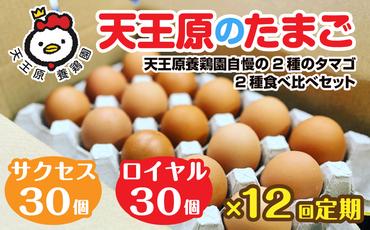 12回定期 【天王原のたまご】 サクセス卵30個/ロイヤル卵30個