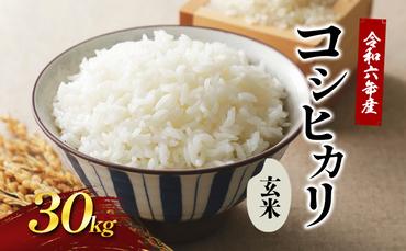 令和6年新米 國方さんの「コシヒカリ」30kg（玄米） 米 玄米 コシヒカリ 新米 