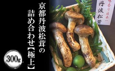 京都丹波松茸の詰め合わせ 300g【極上】まつたけ 数量限定 期間限定 きのこ 秋 天然 国産 国内産 京都府 南丹市　※2024年10月中旬以降順次発送