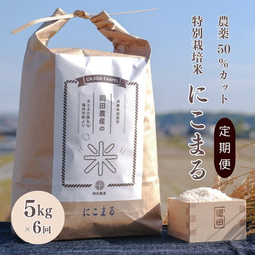 定期便 令和6年産 白米 5kg×6回 特別栽培米 にこまる （ 山田錦 ）　米 お米 こめ コメ 特栽米 5kg 6回 30kg ひょうご安心ブランド ご飯 ごはん ゴハン 精米 兵庫県 加西市