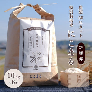 定期便 令和6年産 白米 10kg×6回 特別栽培米 にこまる （ 山田錦 ）　米 お米 こめ コメ 特栽米 10kg 6回 60kg ひょうご安心ブランド ご飯 ごはん ゴハン 精米 兵庫県 加西市