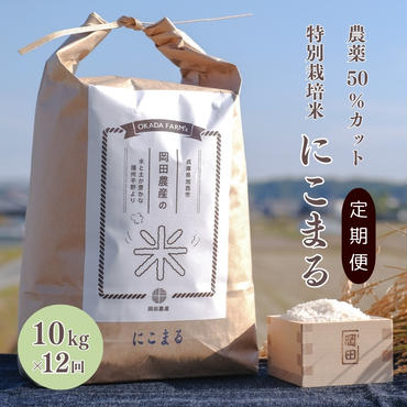 定期便 令和6年産 白米 10kg×12回 特別栽培米 にこまる （ 山田錦 ）　米 お米 こめ コメ 特栽米 10kg 12回 120kg ひょうご安心ブランド ご飯 ごはん ゴハン 精米 兵庫県 加西市