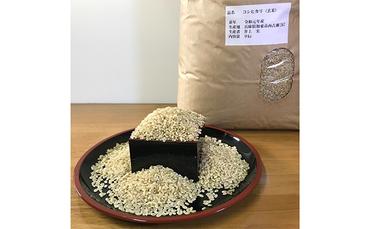 米 令和6年産 加東市産 コシヒカリ 玄米 9kg 先行予約 受付 [お米 コメ ]