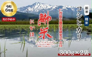 令和6年産 新米 11月から発送 特別栽培米 鰰米 コシヒカリ 2合×2袋（300g×2袋 小分け 精米）