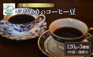 コーヒー 丁寧にハンドピックされたこだわりのコーヒー豆120g×3種類(中深～深煎り) 珈琲 コーヒー豆 珈琲豆 豆 焙煎 自家焙煎 セット