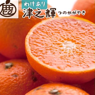 ＜2月より発送＞家庭用 津之輝3kg+90g（傷み補償分）つのかがやき｜わけあり・訳あり【光センサー選別】 ※北海道・沖縄・離島への配送不可 ※2025年2月上旬～4月中旬頃に順次発送予定