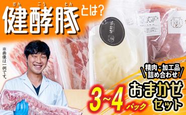 北海道産 健酵豚 おまかせ セット 3〜4パック 豚肉 精肉 加工品 おためし 詰め合わせ ブランドポーク