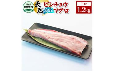 ～四国一小さなまち～ 天然ビンチョウマグロ トロ 1.2kg まぐろ 鮪 トロビンチョウ 刺身 刺し身 さしみ 魚 魚介 海鮮 海鮮丼 寿司 海の幸 おかず おつまみ 惣菜 おいしい 美味しい
