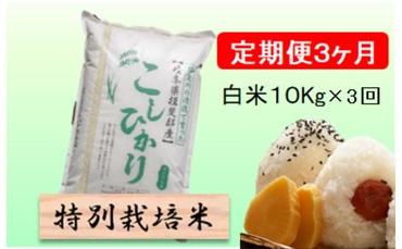 特別栽培米★[定期便] 3カ月★毎月 白米10kg【コシヒカリ】 米 お米 白米 コシヒカリ 定期 岐阜県 池田町