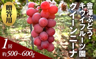 贈答用 クイーンニーナ 1房 約500～600g 葡萄 ブドウ ぶどう 大粒 種なし フルーツ 果物 産地直送 新鮮 お取り寄せ ギフト 国産 結城市