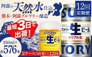 FKK19-913_ 【12回定期便】サントリー 生ビール トリプル生  350ml×2ケース(48缶) 熊本県 嘉島町 ビール サン生