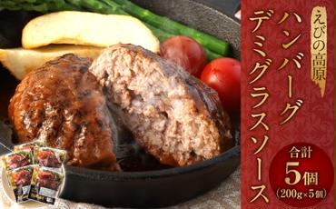 えびの高原 ハンバーグ デミグラスソース 5パック 合計1kg 200g×5パック お肉 肉 惣菜 温めるだけ パック 成長ホルモン不使用 レンジ対応 送料無料
