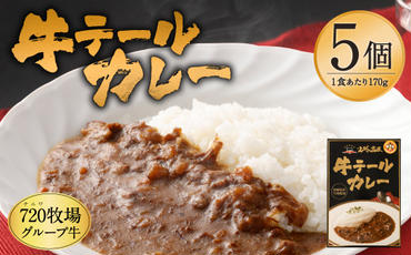 えびの高原 牛テール カレーセット 170g×5個 合計850g レトルト お手軽 時短 便利 非常食 保存食 防災食 キャンプ飯 夜食 レトルト食品 レトルトカレー ギフト 贈り物 牛肉 送料無料 一人暮らし