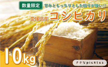 新米 令和6年産 コシヒカリ 10kg 12000円 お米 白米 こしひかり 米 こめ 精米 産地直送 国産 農家直送 期間限定 数量限定 特産品 令和6年度産 2024年産 新品種 大粒 もっちり 粘り 甘み おいしい おにぎり 人気 内祝い お祝い 贈答品 お返し プレゼント 土産 御礼 お礼 お取り寄せ 愛南町 愛媛県 ささなピクルス